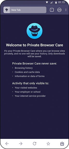 Private Browser Care - systweak software